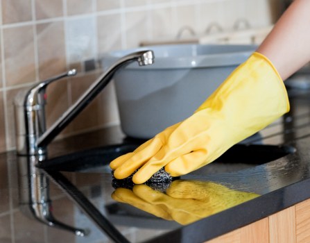 Deep cleaning treatment for pet stains on carpet