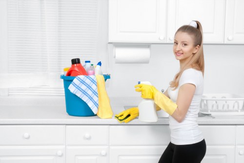 Supplier audit and compliance review for carpet cleaning business