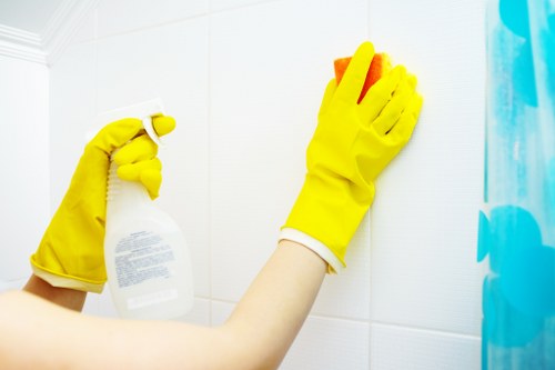 Specialist stain removal for rugs and sofas in Blackfen