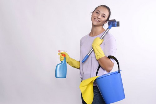 Stain treatment during carpet steam cleaning in Blackfen