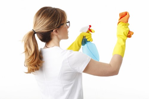 Complaint details being reviewed for a carpet cleaning job