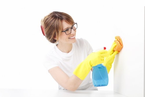 Local carpet cleaning team explaining service approach and values