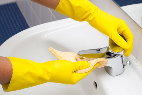 Stain removal and fabric care for sofas in Blackfen